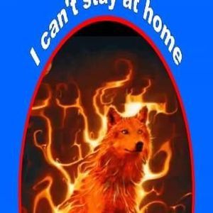 Meet your Posher, Tabitha